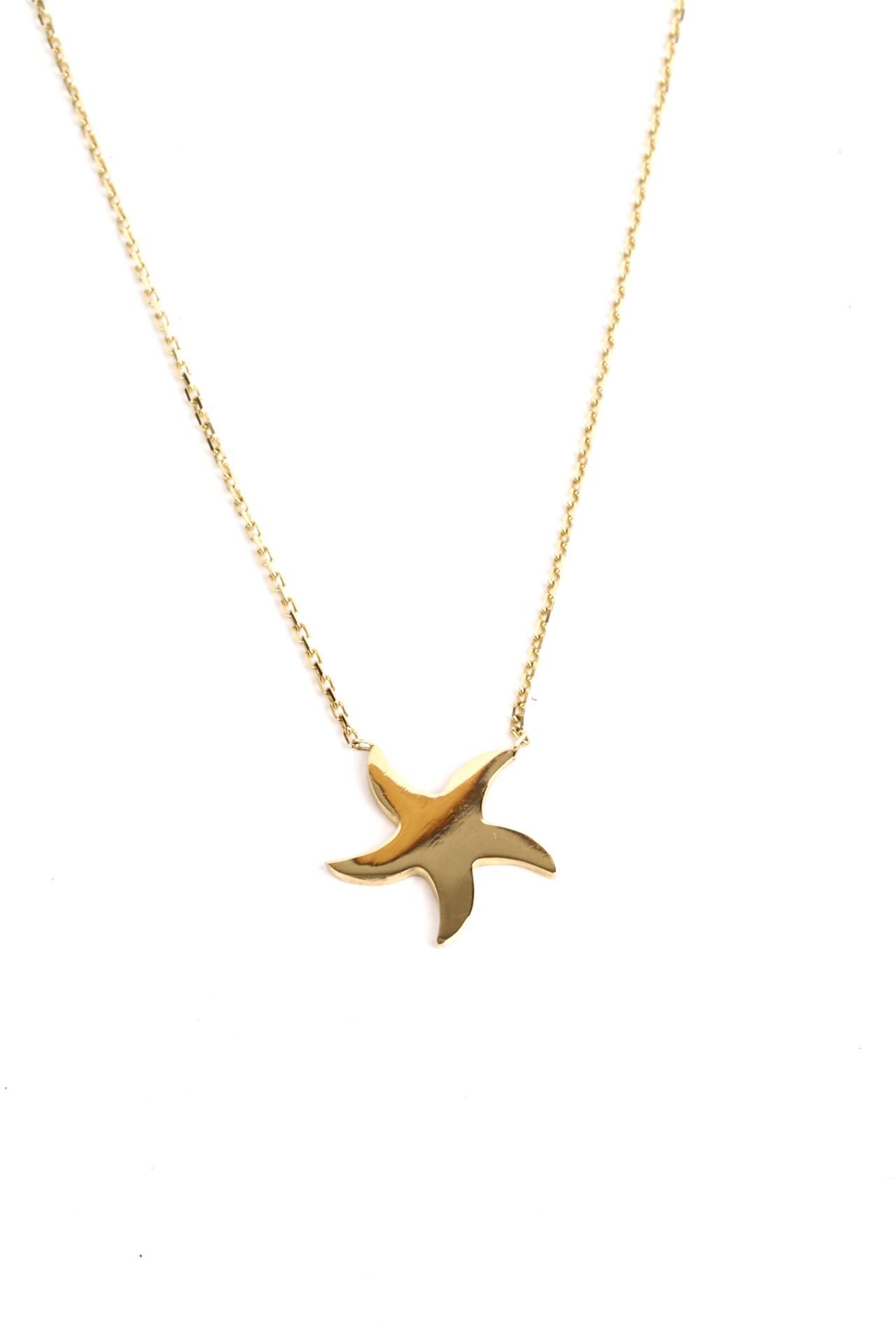 Deniz Yıldızı Tasarımlı Altın Kolye